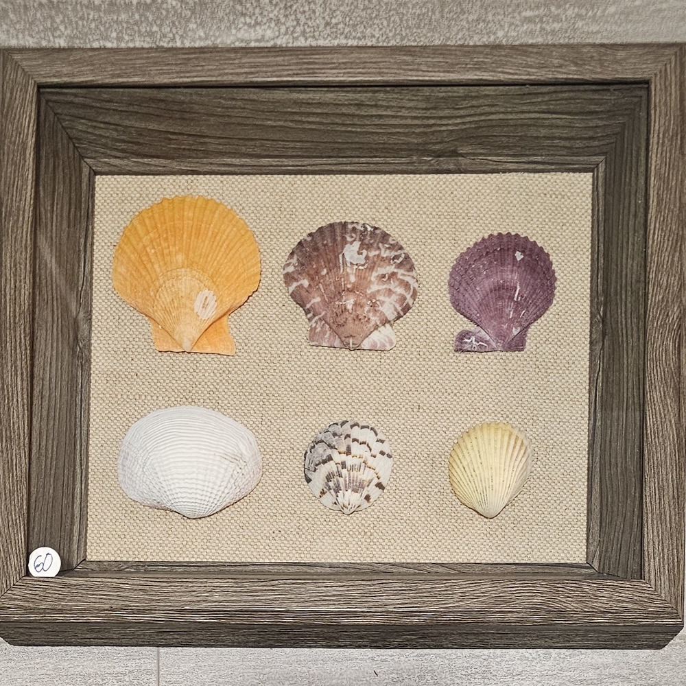 Seashell Nautical Wall Art